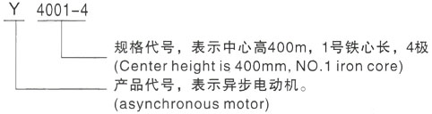 西安泰富西玛Y系列(H355-1000)高压YJTFKK5603-6-1120KW三相异步电机型号说明